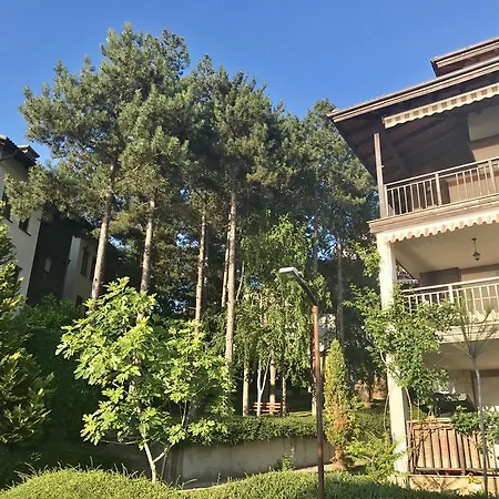 Zu's Daire Süzebolu